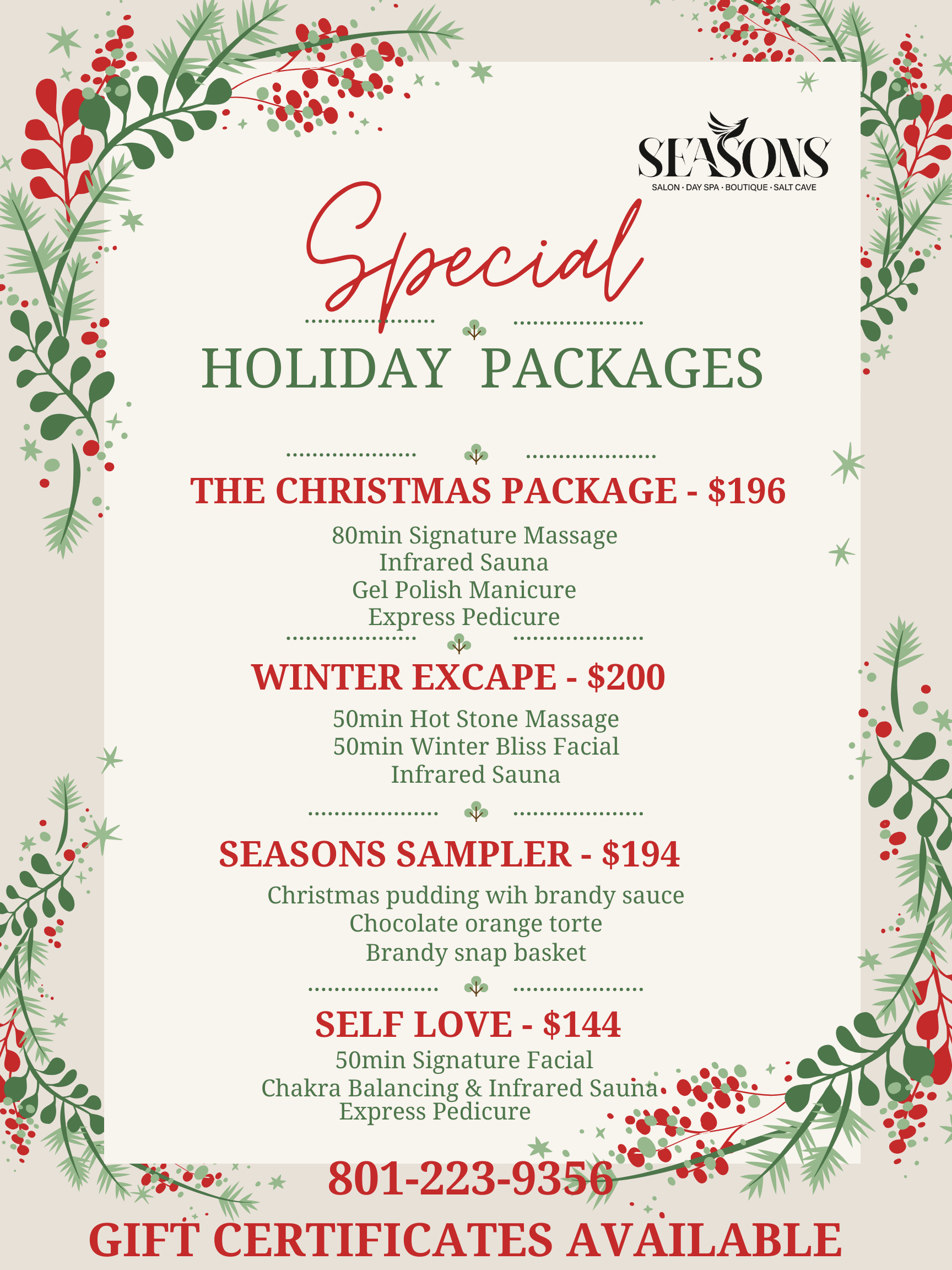 Green and Red Illustration Christmas Special Package Menu (Posters)